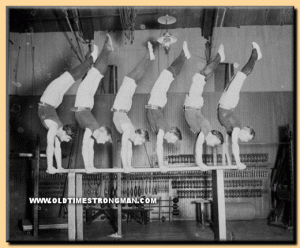 handstands - Brisbane Back Pain Program | McGill Certified Practitioner | Online Coaching handstands