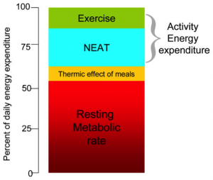 neat_graph - Brisbane Back Pain Program | McGill Certified Practitioner | Online Coaching