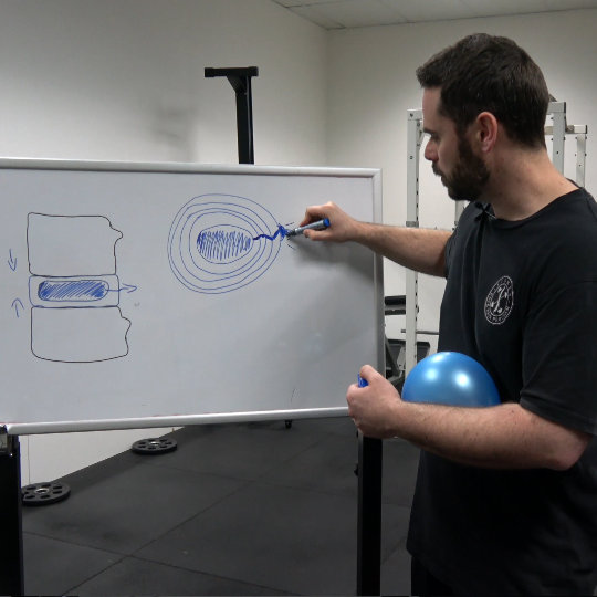 5 Principles - Brisbane Back Pain Program | McGill Certified Practitioner | Online Coaching
