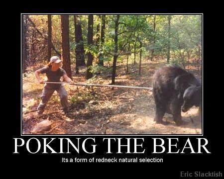 pokingthebear - Brisbane Back Pain Program | McGill Certified Practitioner | Online Coaching