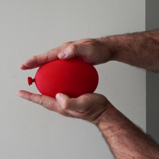 BallonDisc540 - Brisbane Back Pain Program | McGill Certified Practitioner | Online Coaching Photo of a red balloon between two hands.