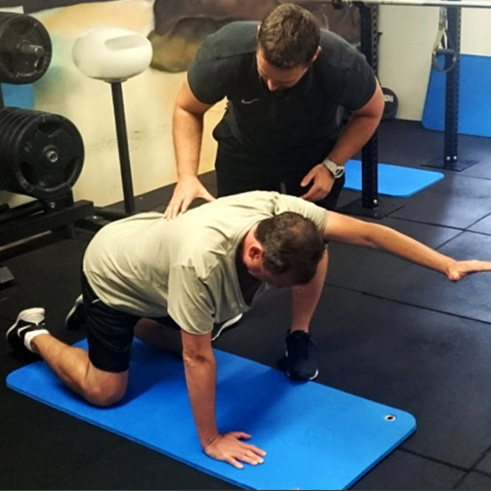 1080Template - Brisbane Back Pain Program | McGill Certified Practitioner | Online Coaching Photo of coaching a client through the level 1 Bird-Dog variation.
