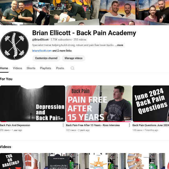 YoutubeLinkImage - Brisbane Back Pain Program | McGill Certified Practitioner | Online Coaching